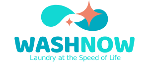 washnow logo